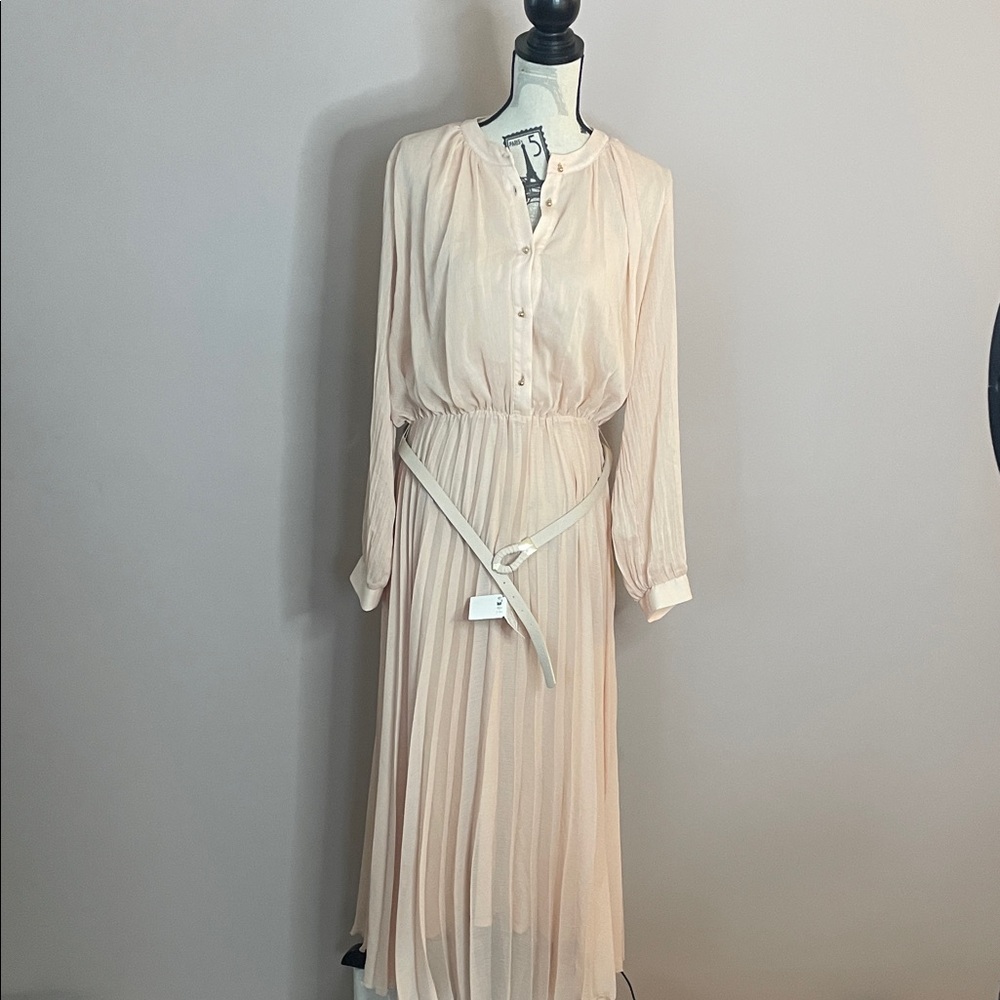 Zara Long Sleeve Pleated Midi Dress in Light Blush
